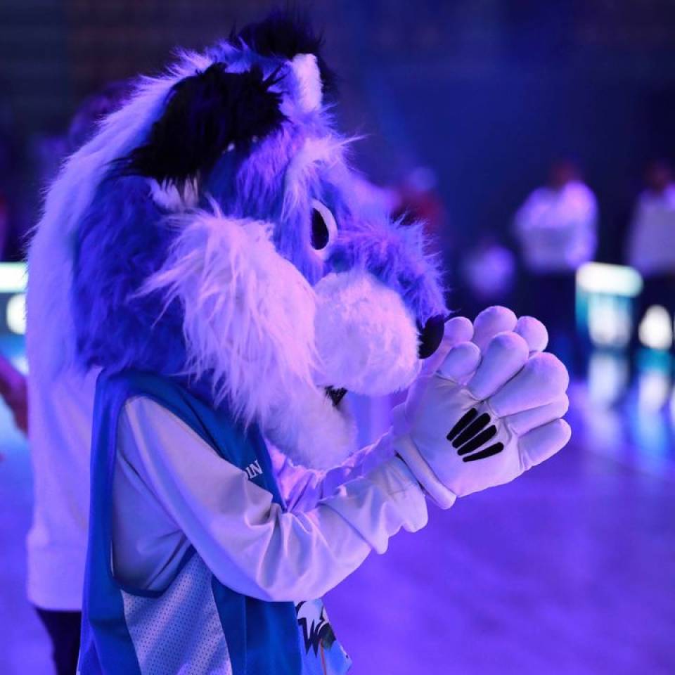 Un coucou de la part de notre ami FOXY 👋